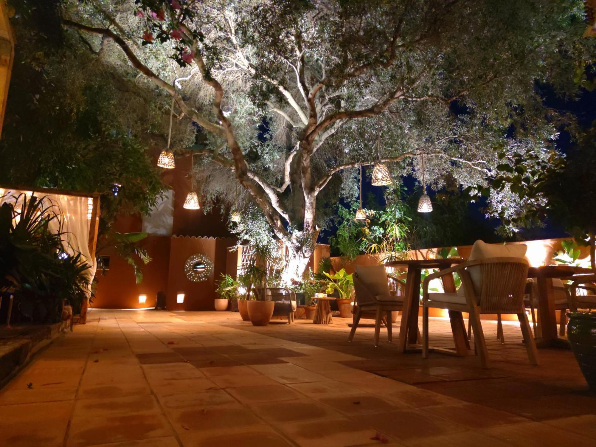La Posada De Lola - Adults Only Hotel Bolonia Exterior photo